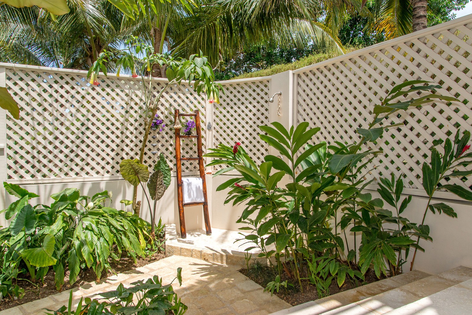 Sugar Hill villa garden area with plants