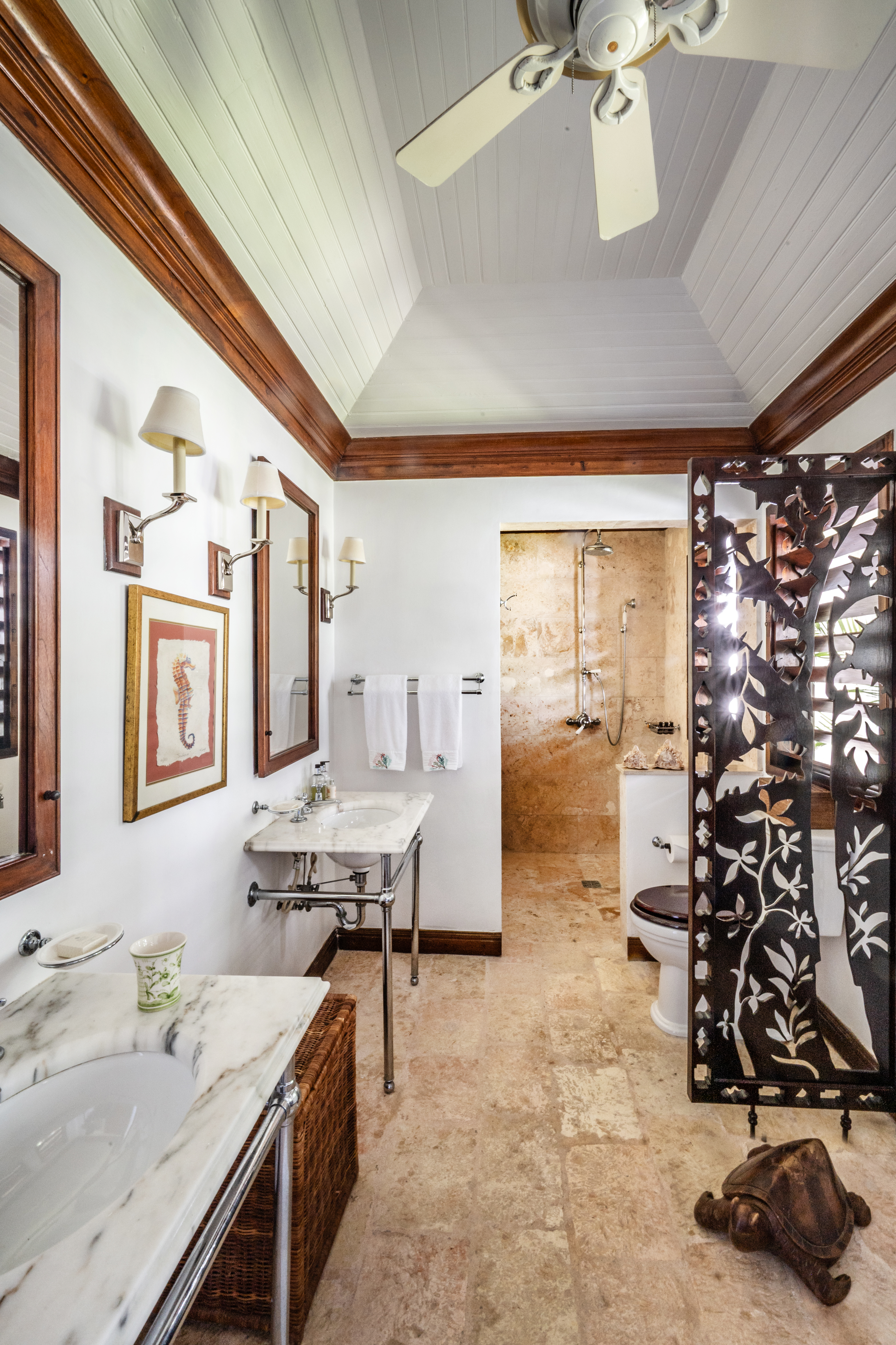 Point of View villa wash basin and shower